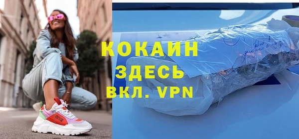 сатива Бородино