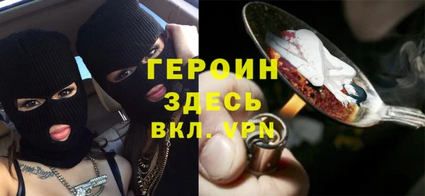 сатива Бородино