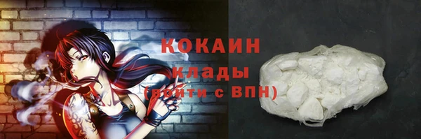 сатива Бородино