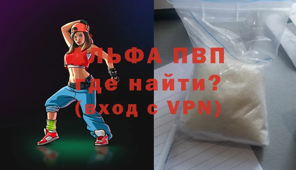 сатива Бородино