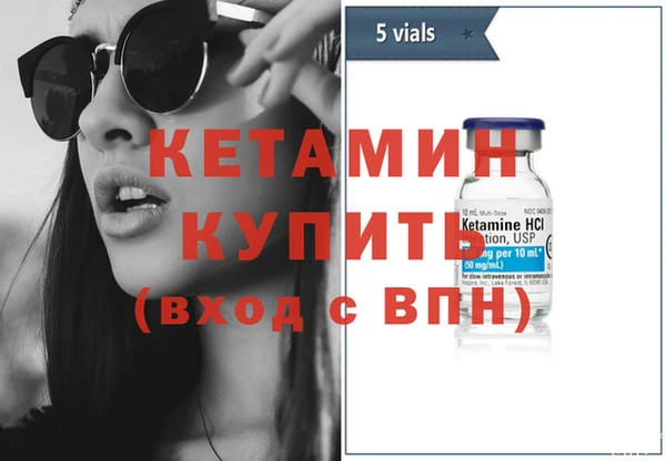 сатива Бронницы