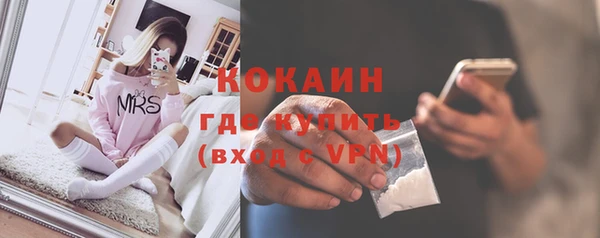 сатива Бронницы