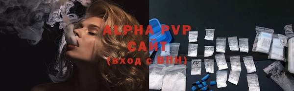 сатива Бородино