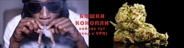 сатива Бородино