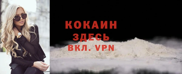 сатива Бородино
