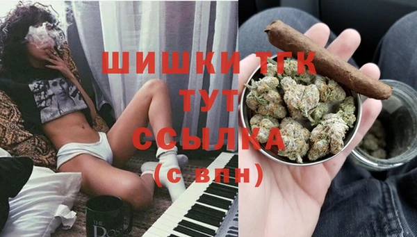 сатива Бронницы