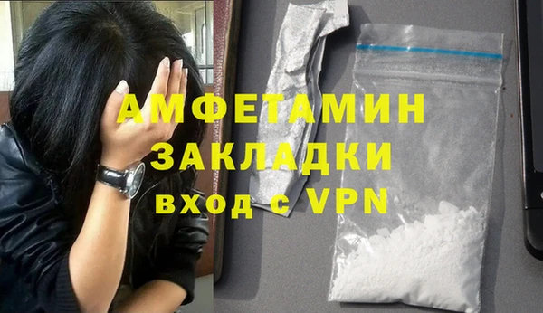 сатива Бородино