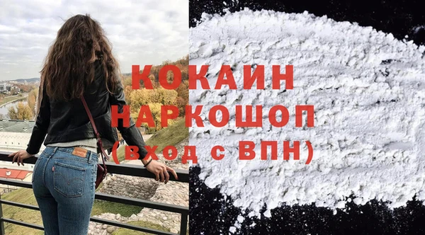 сатива Бородино