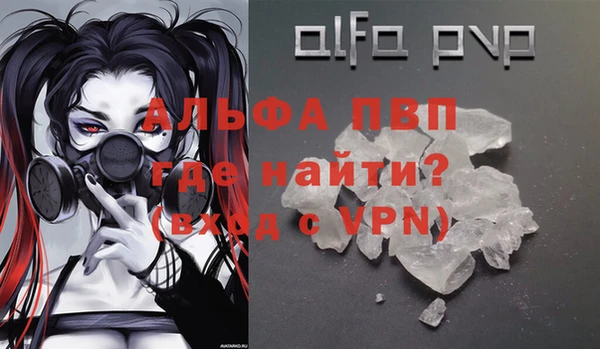 сатива Бородино
