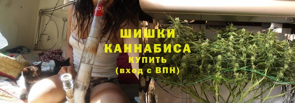 сатива Бородино