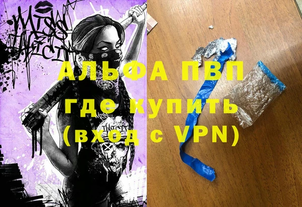 сатива Бородино