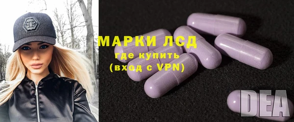 сатива Бронницы