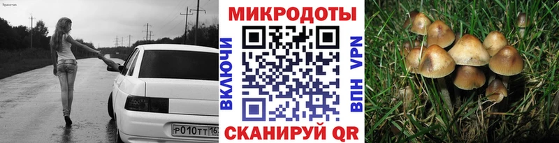 Псилоцибиновые грибы Magic Shrooms  купить наркоту  Нарткала 